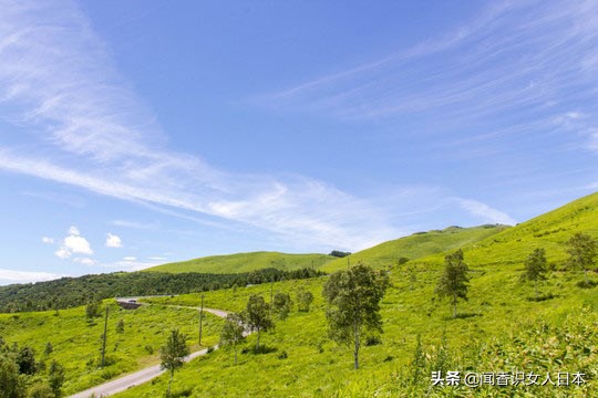 长野好玩的地方,日本长野旅游攻略