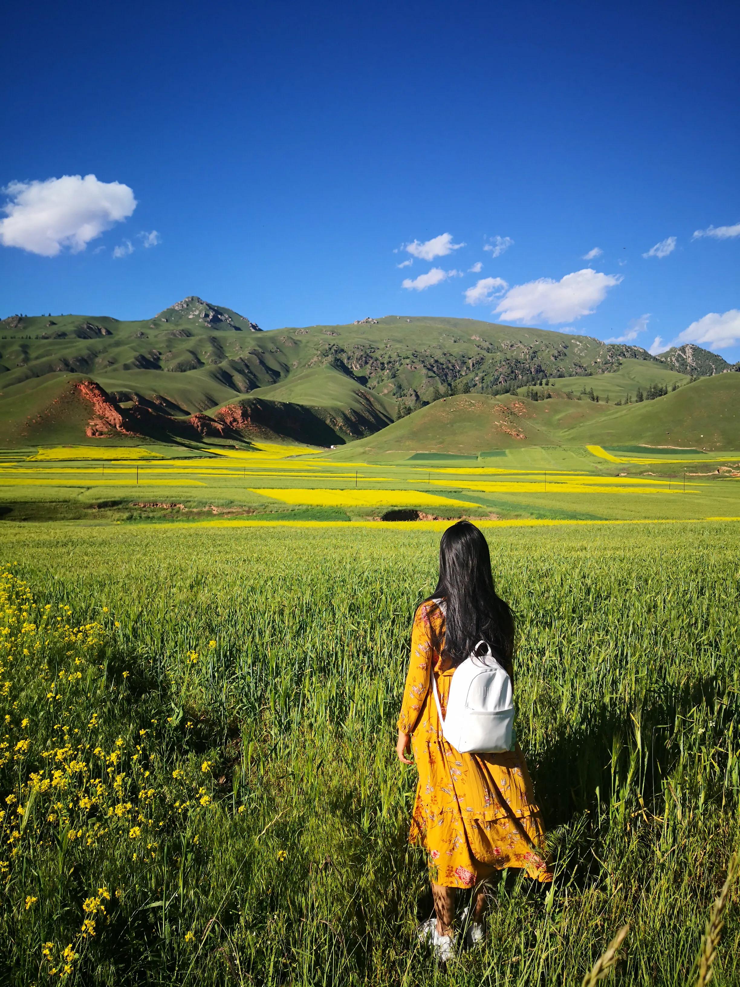 手拍世界投稿,手拍世界作品专集