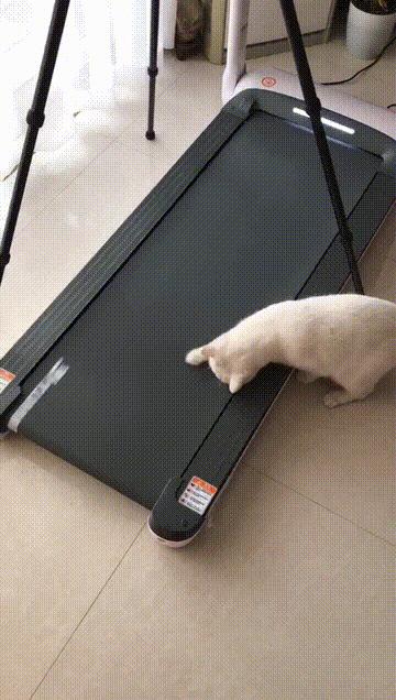 亿健精灵s7跑步机和亿健精灵pro,宅在家也能运动