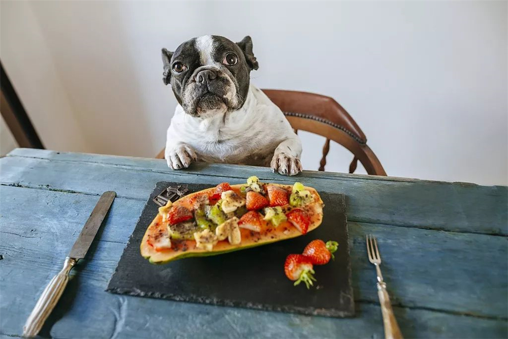 辟谣羊奶比鲜牛奶好,羊奶粉谣言