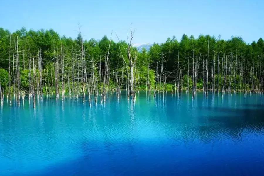 日本美景8k超高清,日本自然人文美景