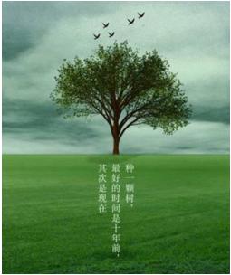 卓有成效的管理者读书心得怎么写,卓有成效的管理者读书笔记与心得