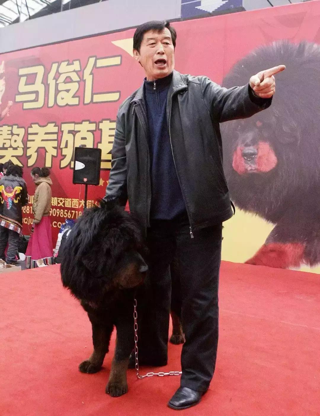 保健品帝国,中国保健品兴衰史