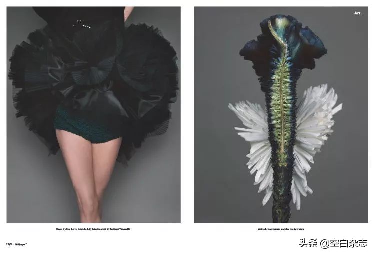 关于女性的时尚杂志,2019年十月时尚杂志