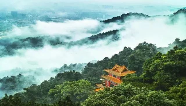 桂宿通,桂宿通银卡最新房源汇总