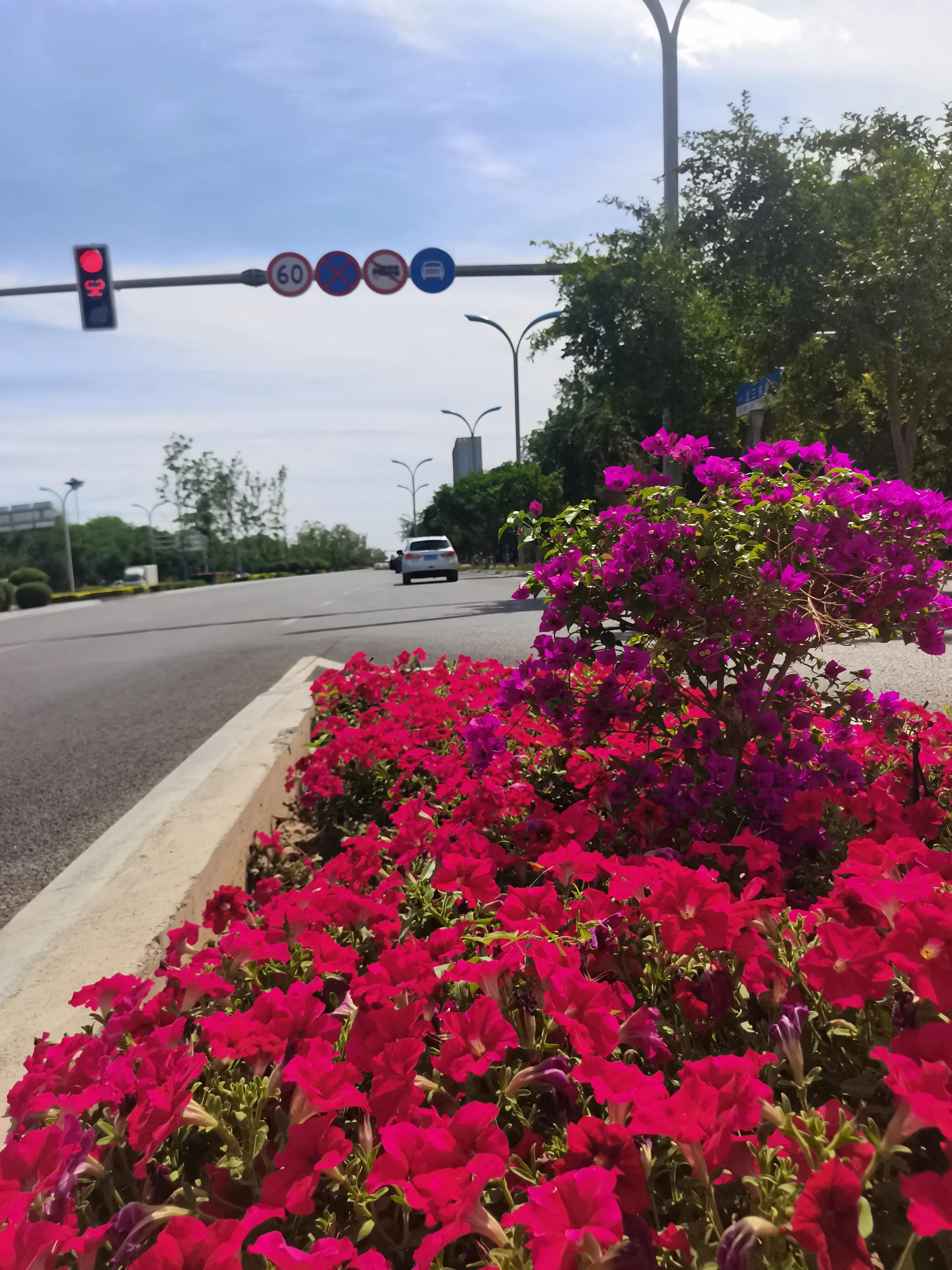 新疆南疆日记,新疆南疆旅游日记