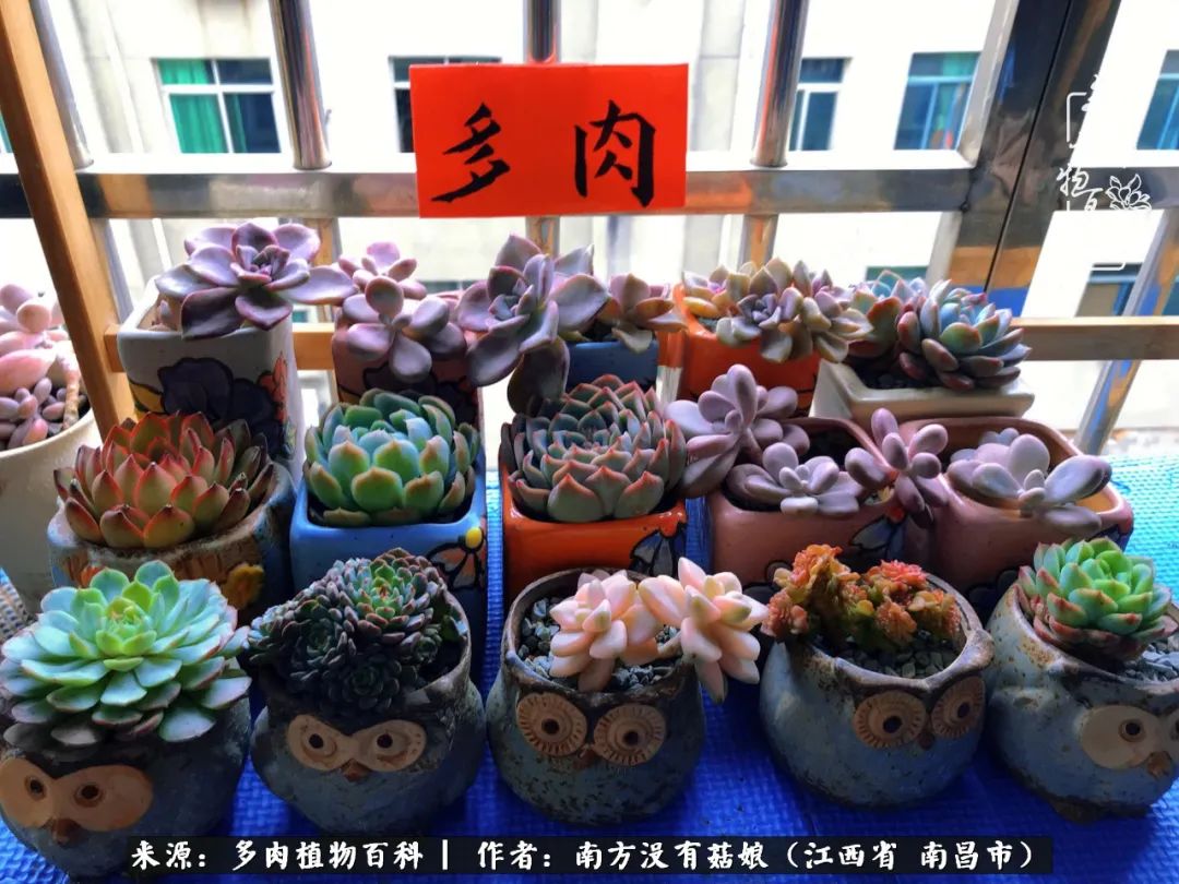 既见云胡不喜,既见君子云胡不喜毛笔楷书