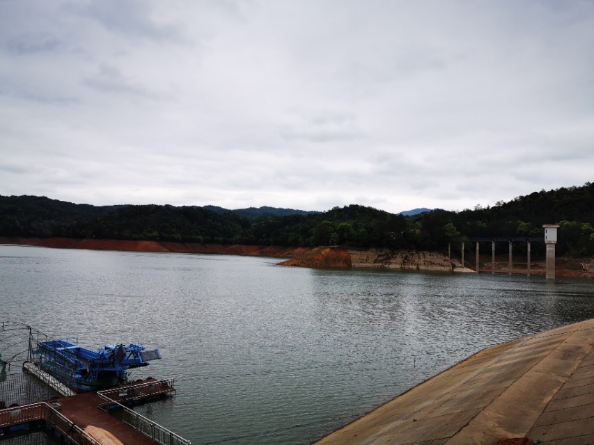 黄田谷水库钓鱼,黄田镇钓鲤鱼视频