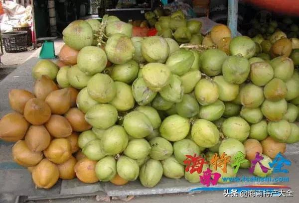 椰子在海南是一种怎样的存在，你真的懂它吗？