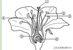 人教版七年级生物期末试卷及答案,2018年七年级生物上学期期末试题
