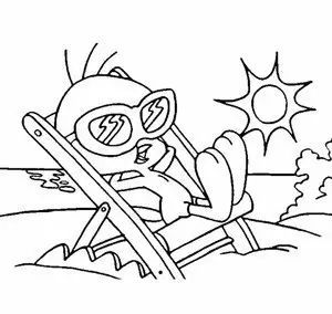 爱宠过冬知识大全,爱宠温暖过冬