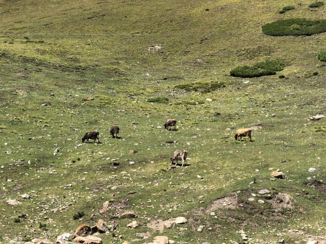 亲子游3天2晚郑州,暑假遛娃郑州