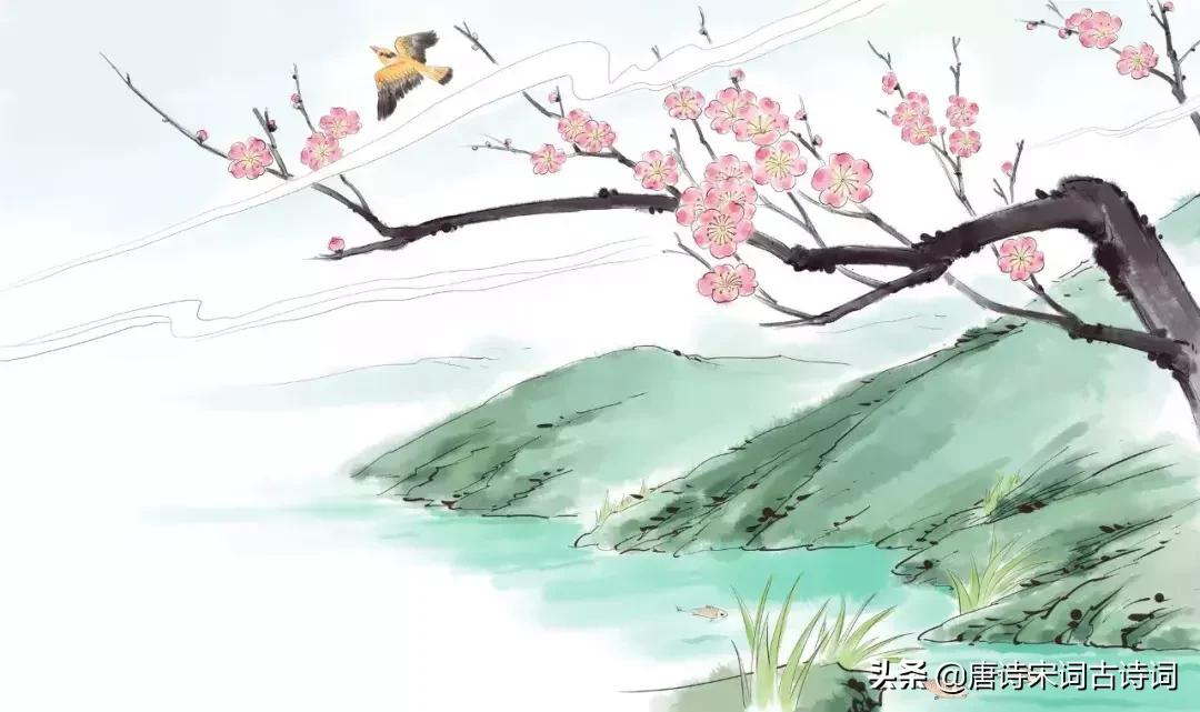 纳兰词古诗词经典唯美名句,赏析十首最美纳兰词