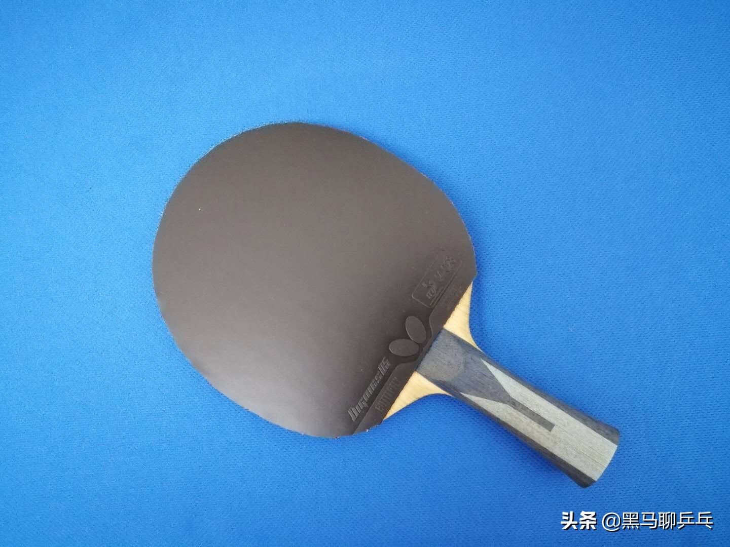 每周乒乓球观察,每周乒乓球观察视频