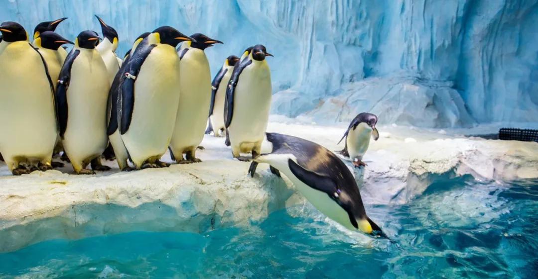 珠海大湾区核心城市,珠海一个充满魅力与机遇的城市