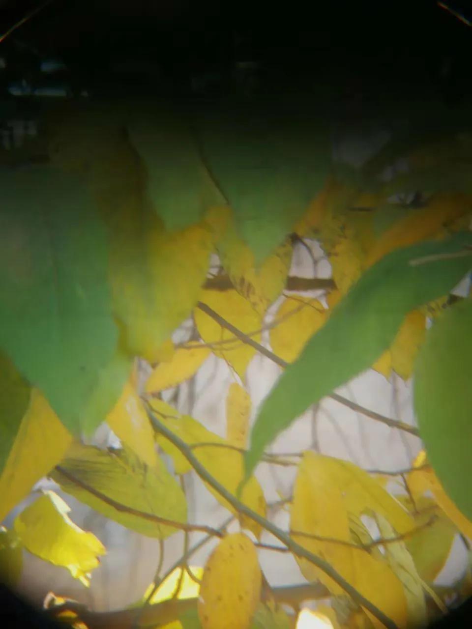 部队退役下来的望远镜,哈勃望远镜退役的原因