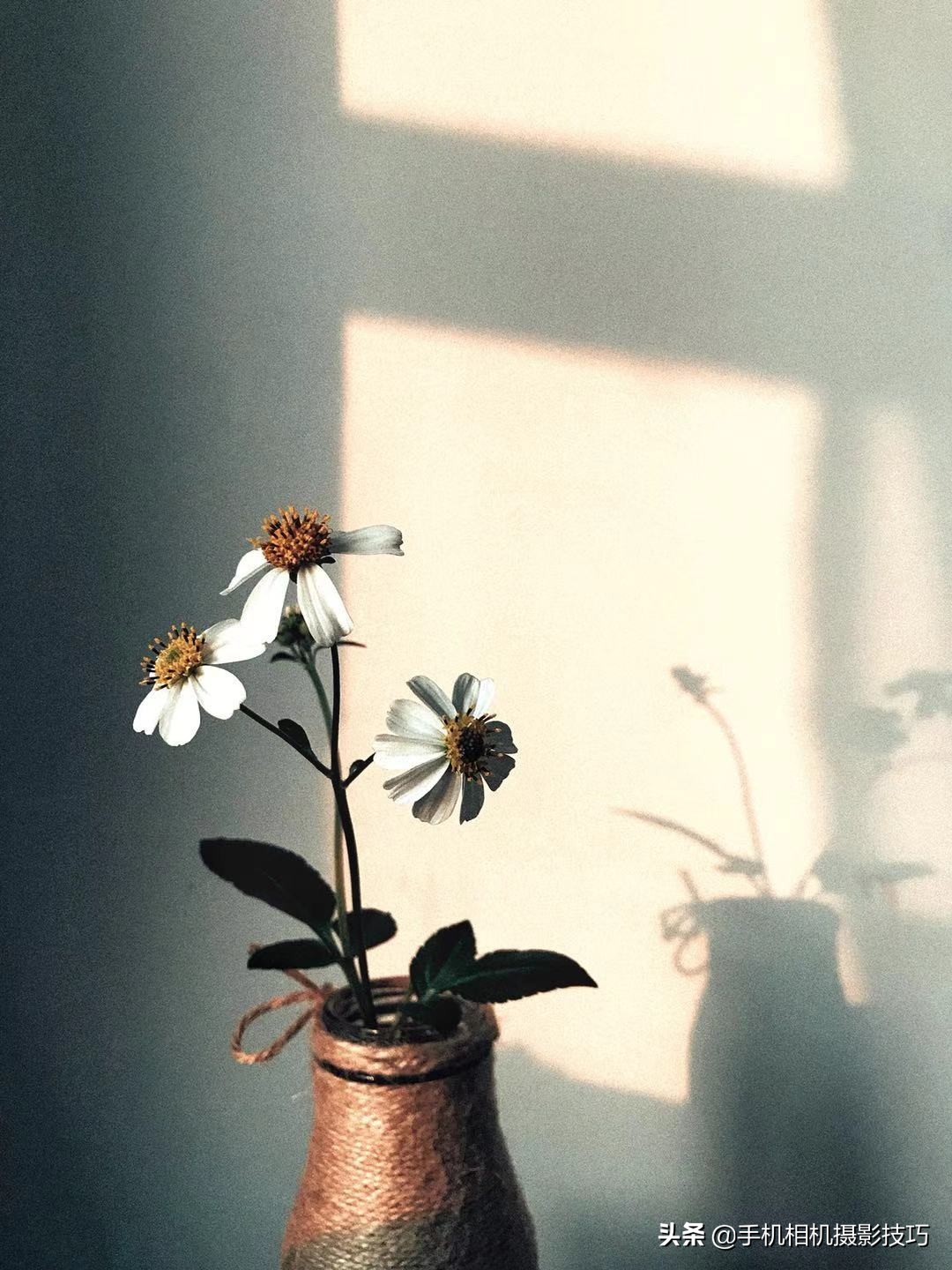 14组普通人拍出来的好照片,这才是普通人拍的照片平凡而珍贵