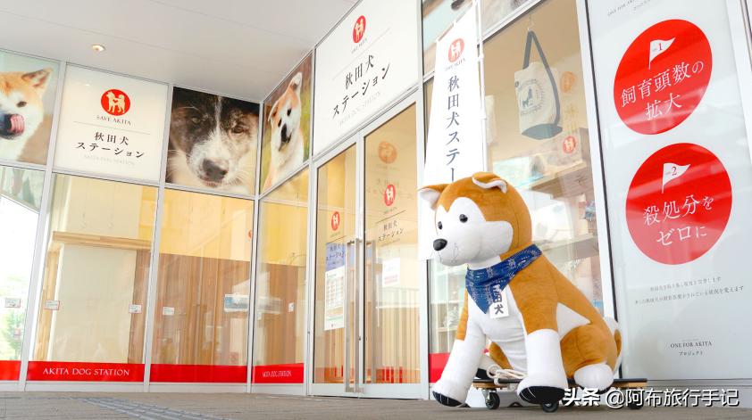 日本涩谷万圣节旅游攻略,日本东京高楼看涩谷万圣节盛况