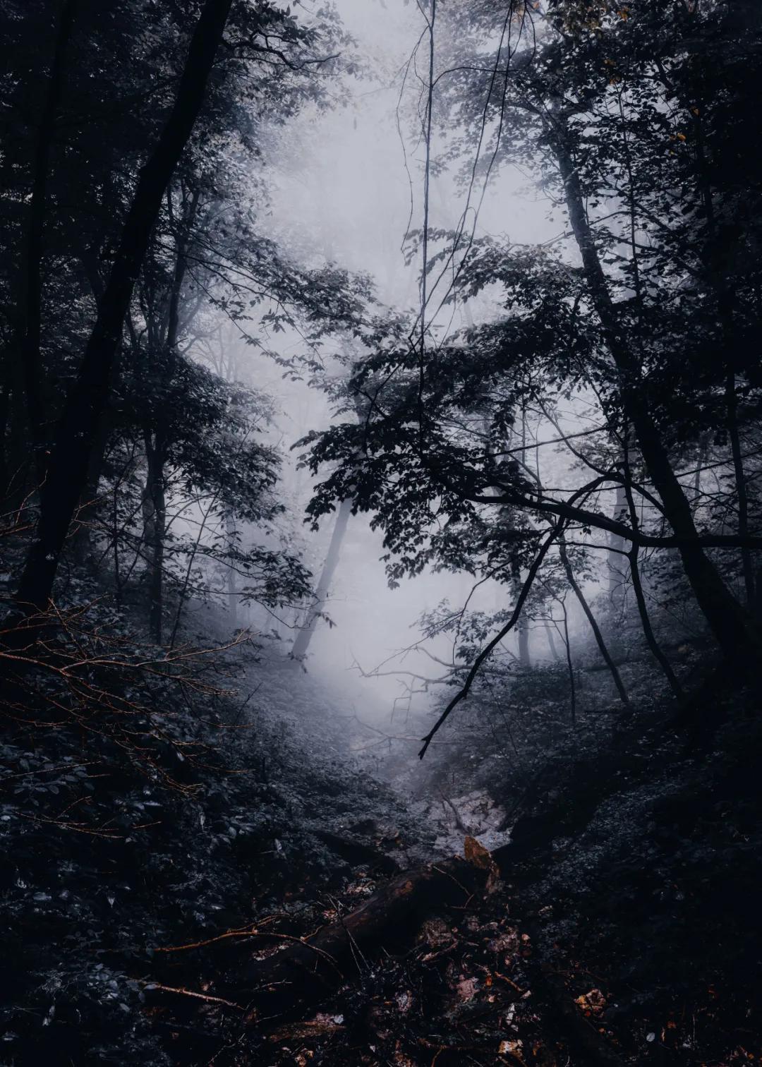 ins风暗黑图片,ins暗黑风格照