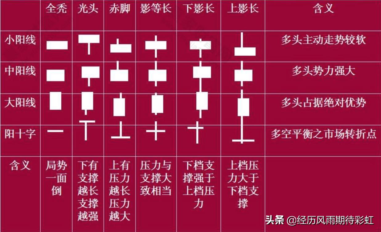 初入股市我要学什么,我开始学投资炒股