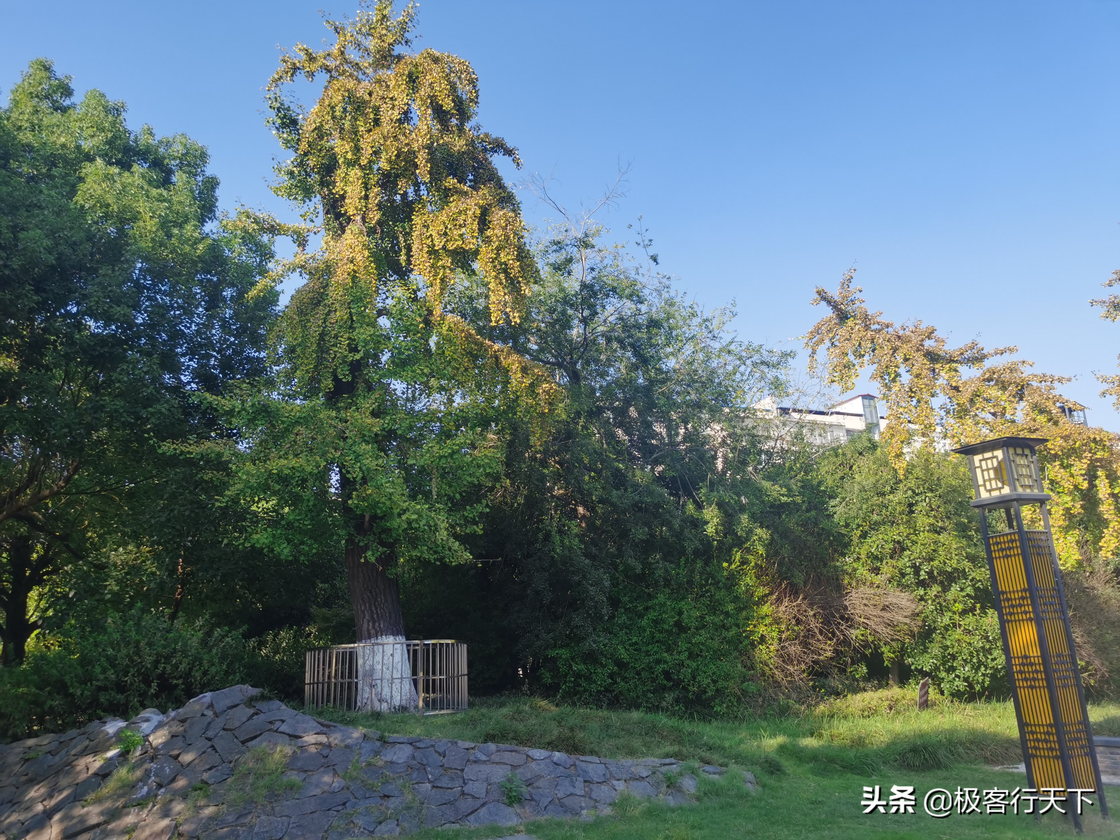 关于神农公园的历史,以前的神农公园