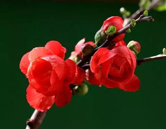 宋扬小说欣赏——生活用力过猛