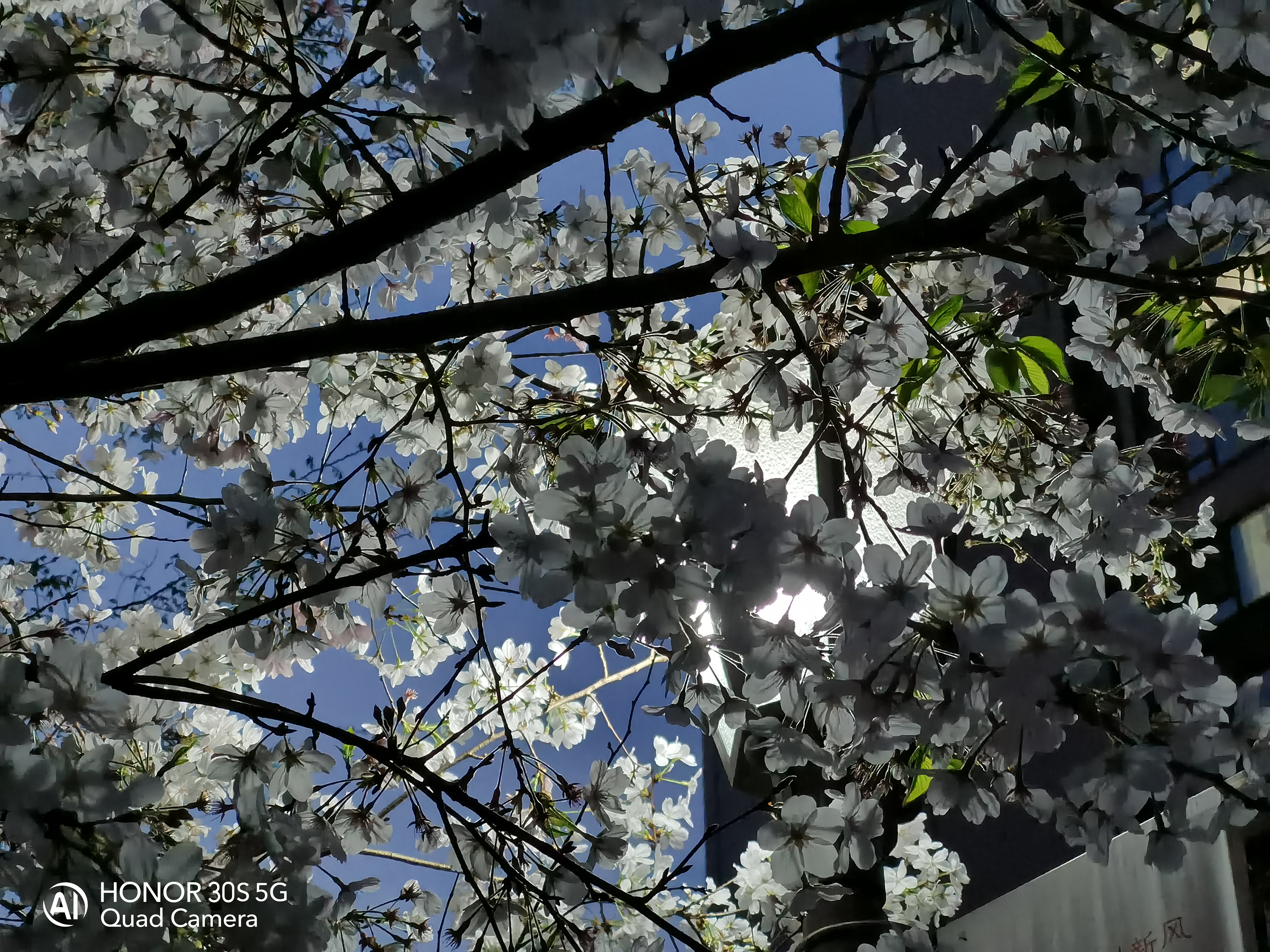 荣耀30s有没有4g和5g的网络测速,荣耀30s的5g功能优缺点