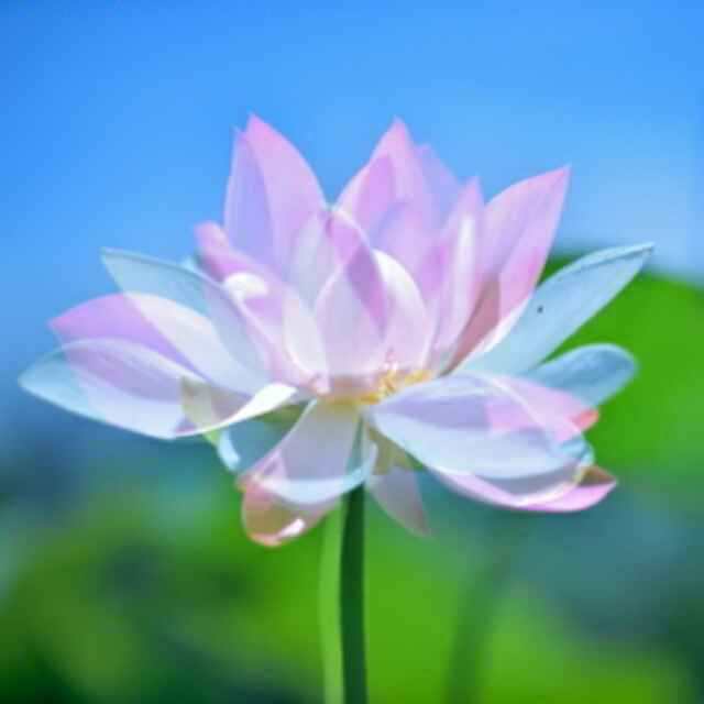 成长中的烦恼800字初中,成长中的烦恼的作文