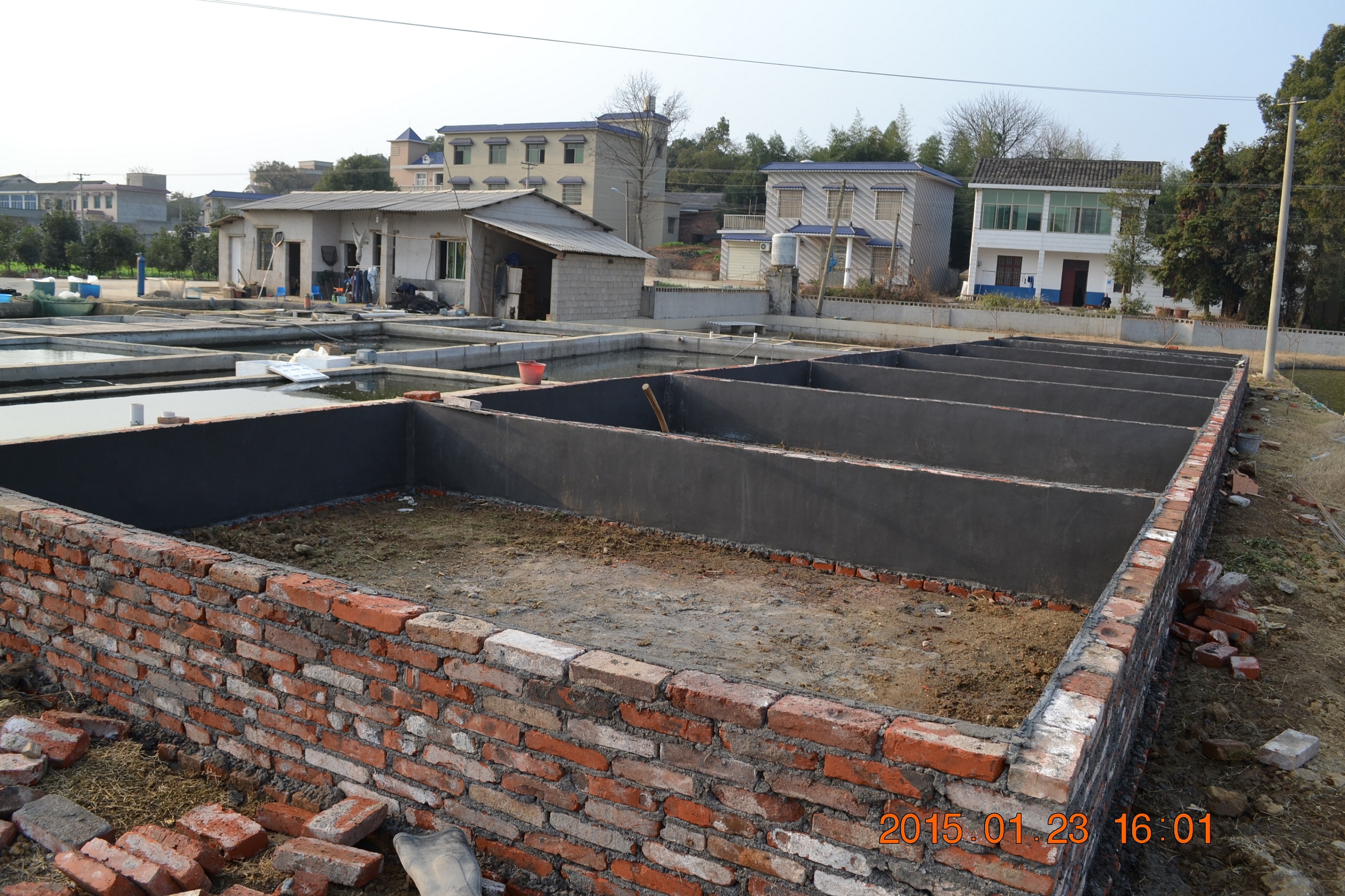 湖南最好的锦鲤养殖基地,湘潭锦鲤养殖