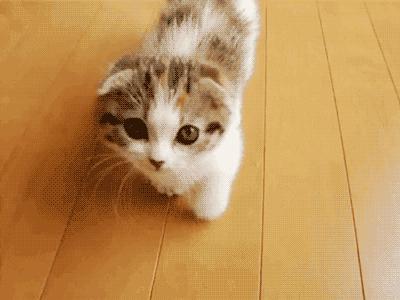 对高利贷怎么处理,高利贷报案不予立案怎么办