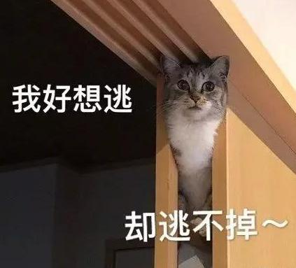 什么平替精华水最便宜,便宜好用的精华水多少钱