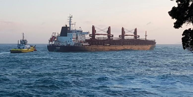 货船失控连撞两桥后沉没,船舶搁浅船长砸驾驶台后续