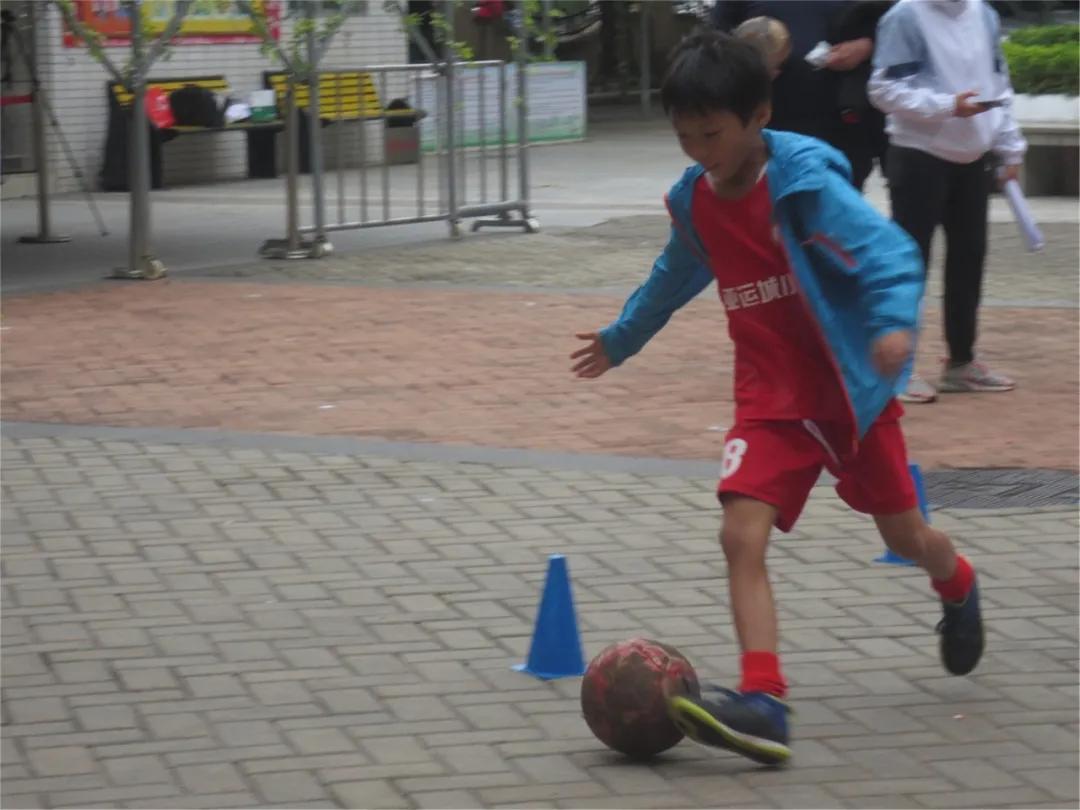 龙腾虎跃展英姿,龙腾虎跃展宏图