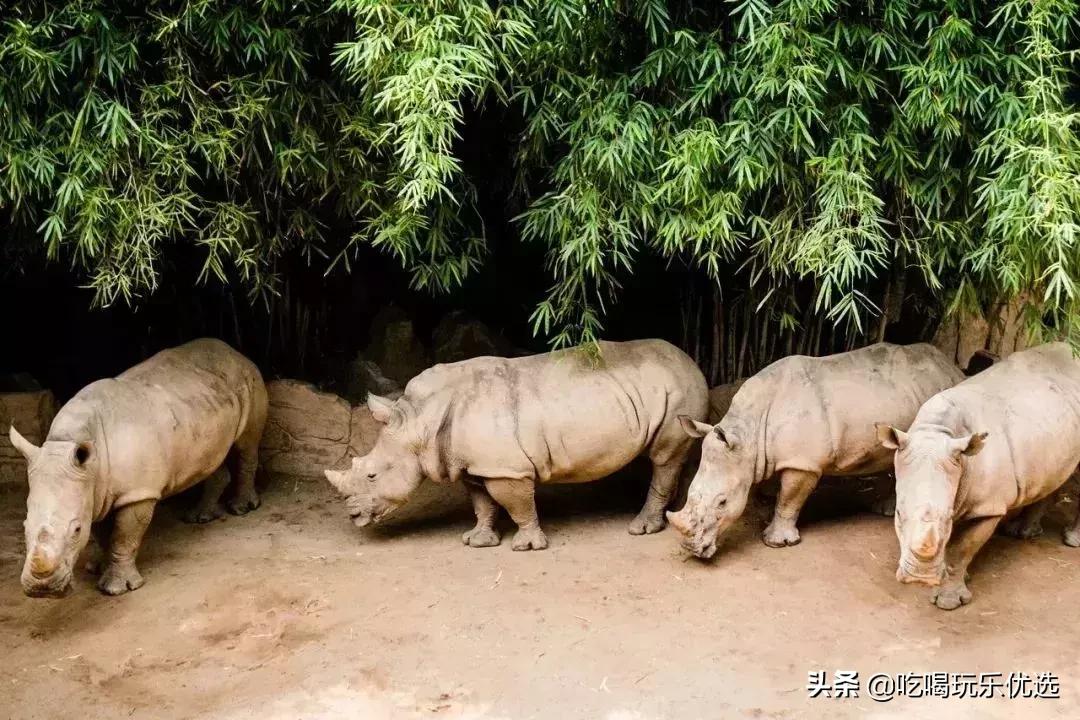 「国庆欢乐提前购」早买优惠！佛山5A长鹿休博园双人套票158元起