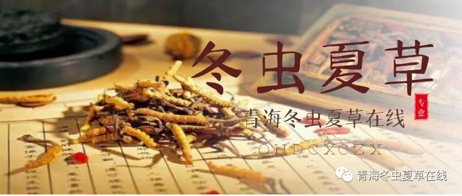 冬虫夏草价目表,冬虫夏草研究数据