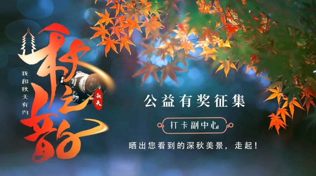 暗访｜通州这家店有何“魔床”？十多年来引得一批批老年人每天拎包试睡？