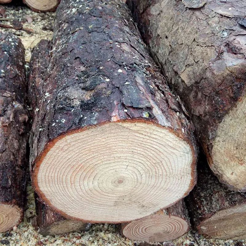 家具木材实惠品牌十大排名,各种家具木材价格排行榜前十名