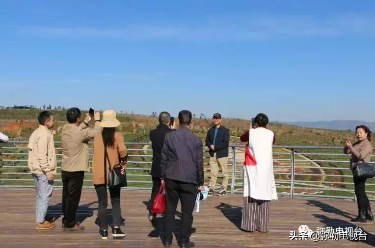 太热闹!弥勒花海、人海、车海、舞海...这些人上镜了!