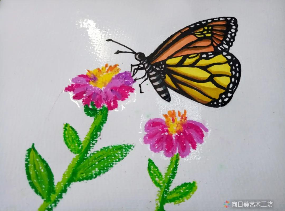 创意课漂亮的蝴蝶,创意美术课程蝴蝶
