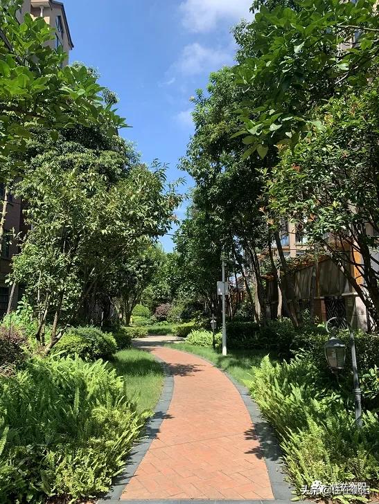 鉴盘⑥丨均价高过周边楼盘超500元/㎡的项目，值吗？