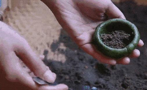 不时不食|有一种念念不忘,叫做青团