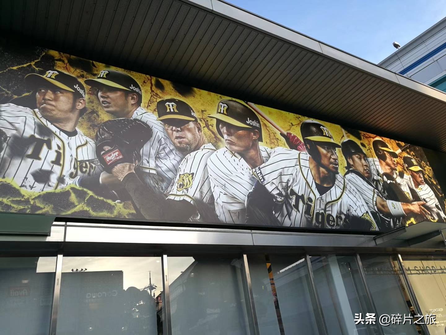 豪华游轮日本游旅游攻略,特价日本豪华游轮旅游攻略