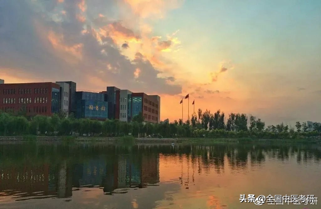 中医考研大学排行榜,国内顶尖的中医药大学考研