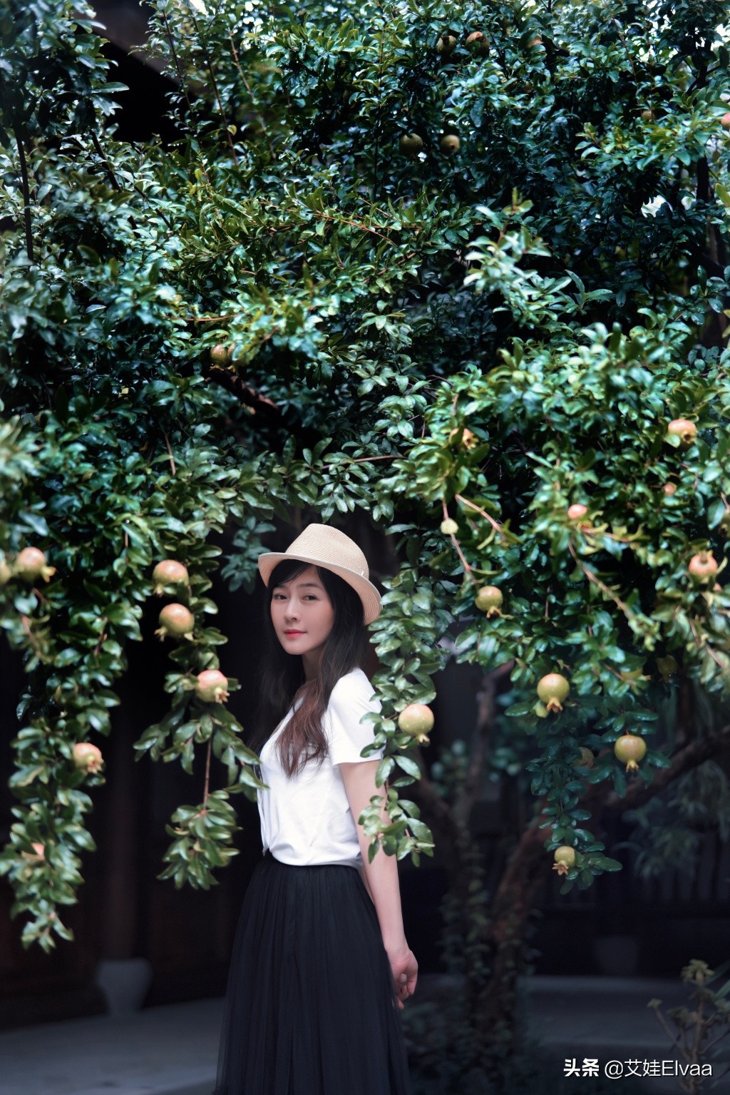 田海蓉生日晒美照 (田海蓉晒美照)