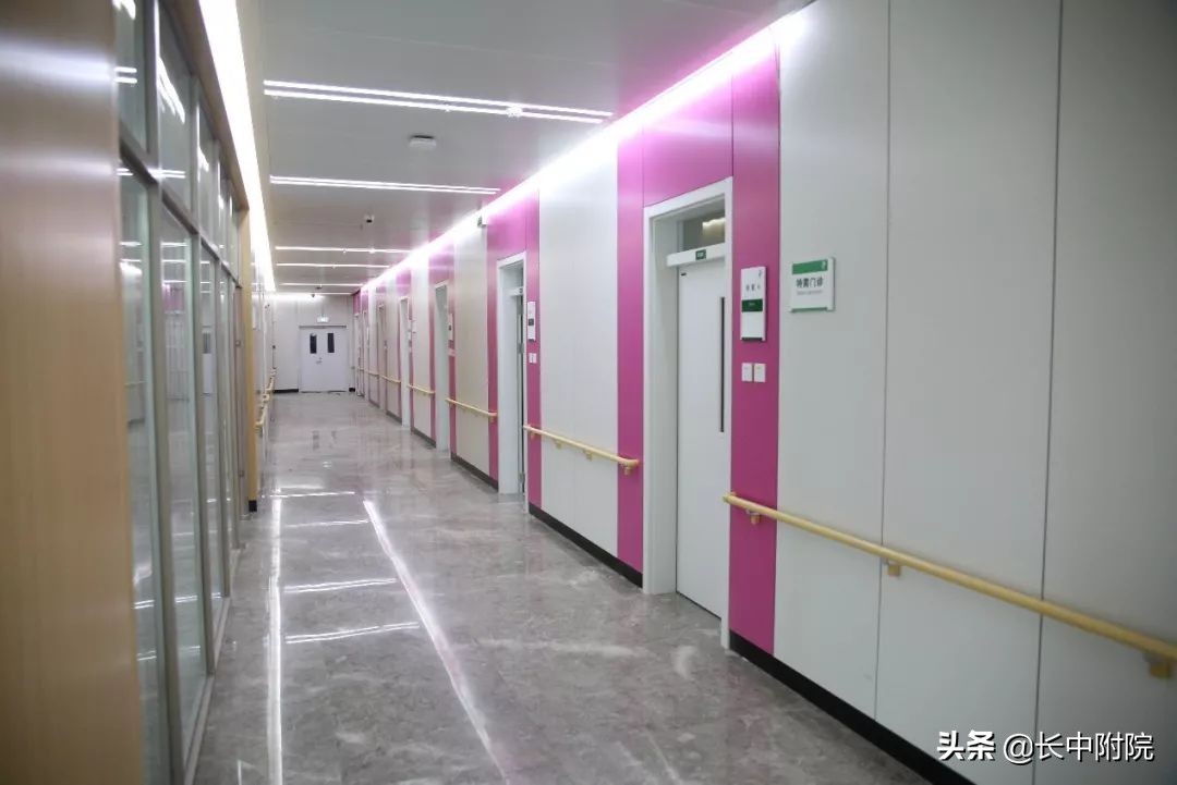 呵护女性身体健康,呵护女性健康