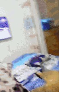 猫是否知道自己是猫,猫知自己是猫么