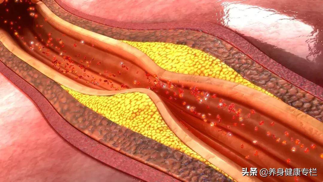 身体哪个部位最怕碱和油,身体哪些地方最硬