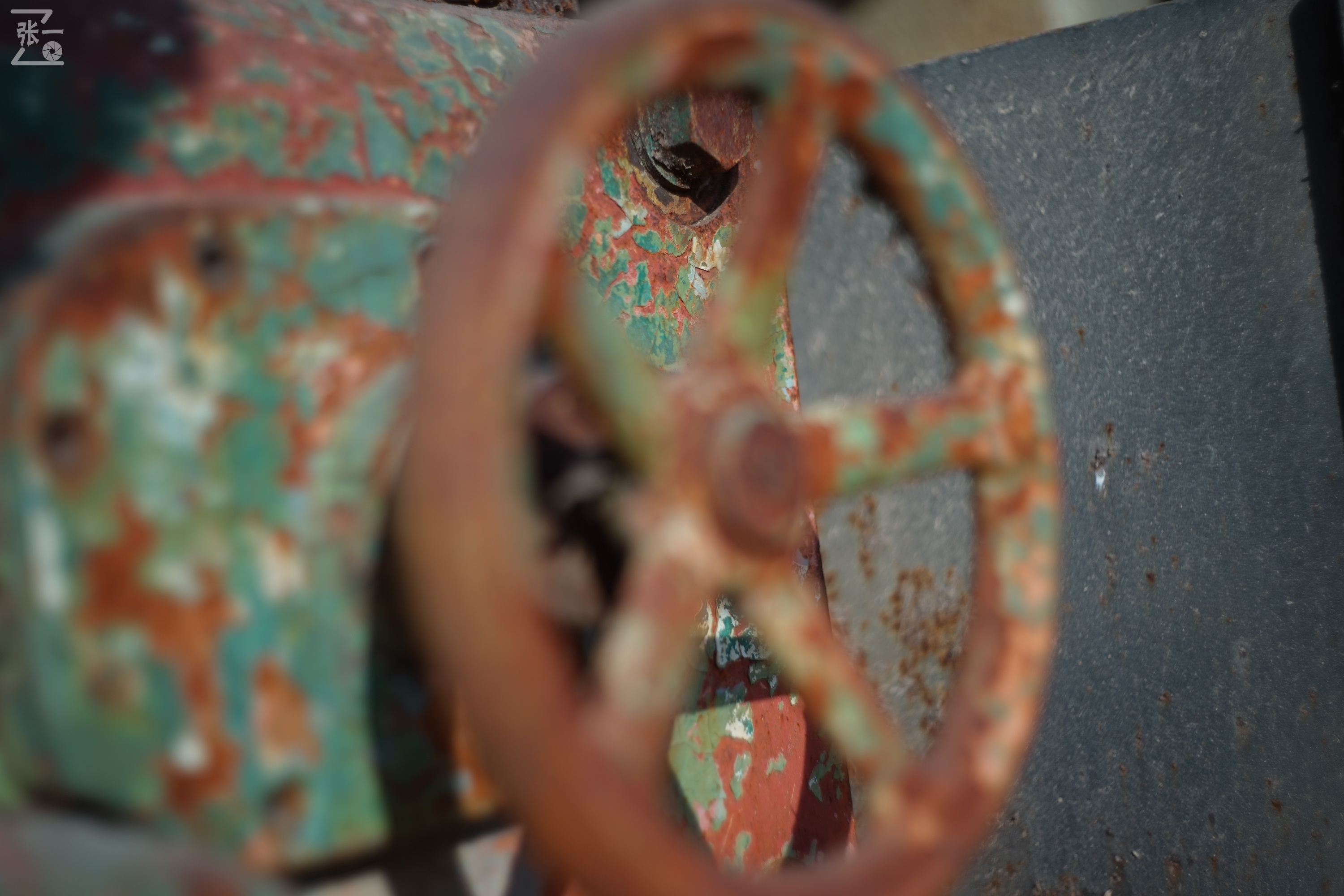 日本进口雅西卡胶卷相机,雅西卡135相机