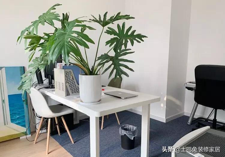 低预算简约风装修高级感,毛坯房装修预算5万清单简约风