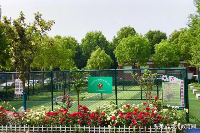 邓州市致远实验学校：桥边观鱼，竹下吟诗！真是师生进校入画来